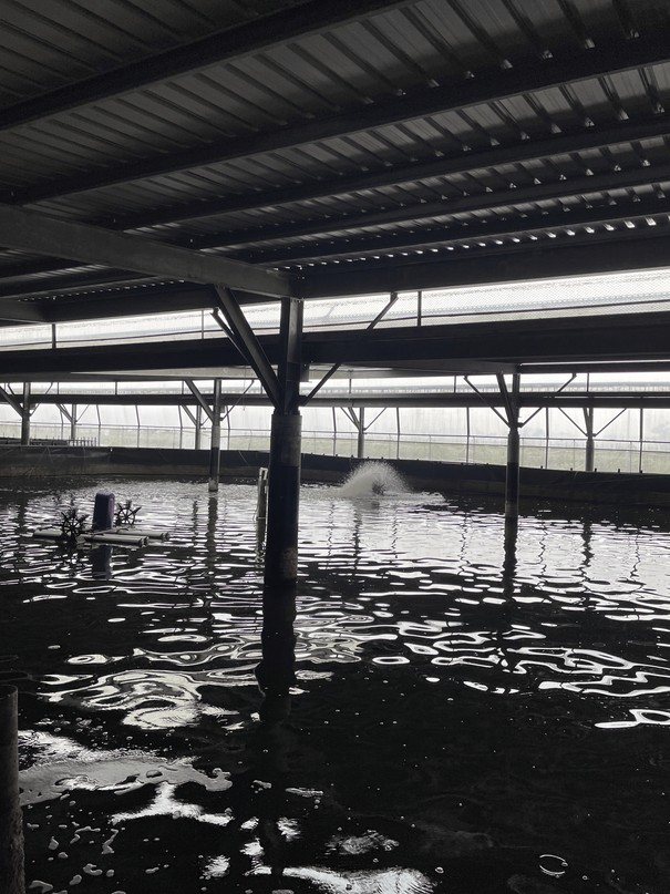 Solar-powered aquaculture