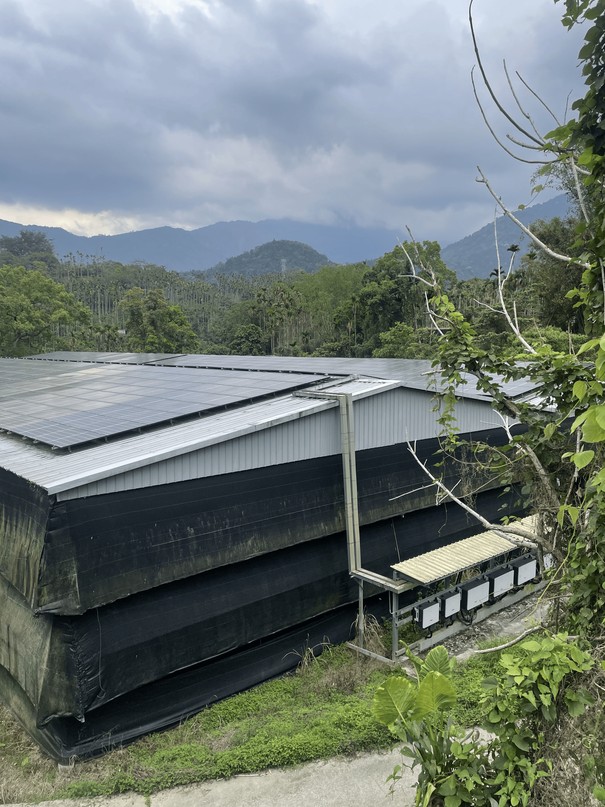 Solar-powered mushroom farm